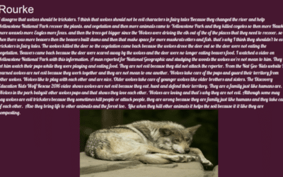 Rourke’s Problem Statement