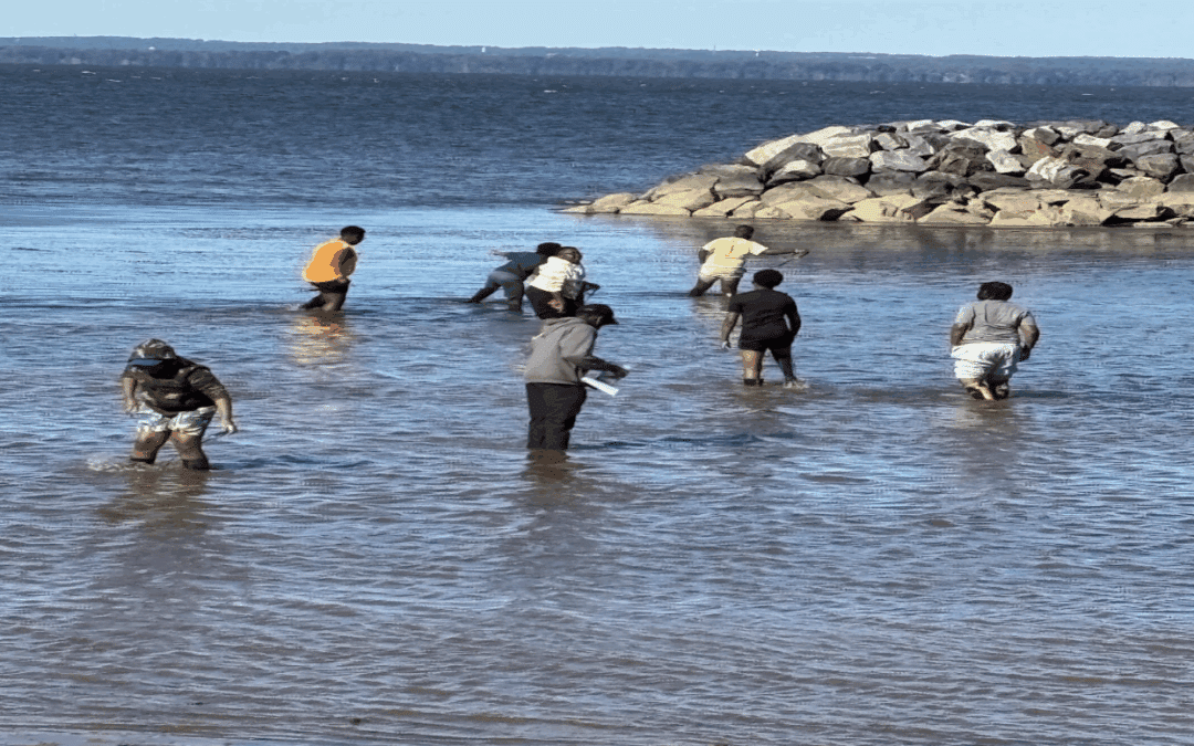 Learning Better Together: The NorthBay Experience